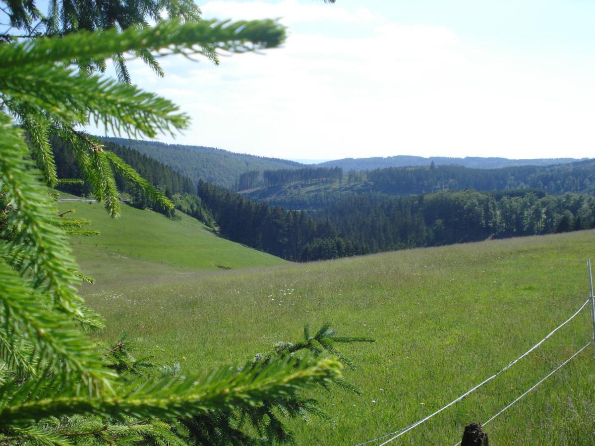 B&B All Seasons Winterberg Exterior photo