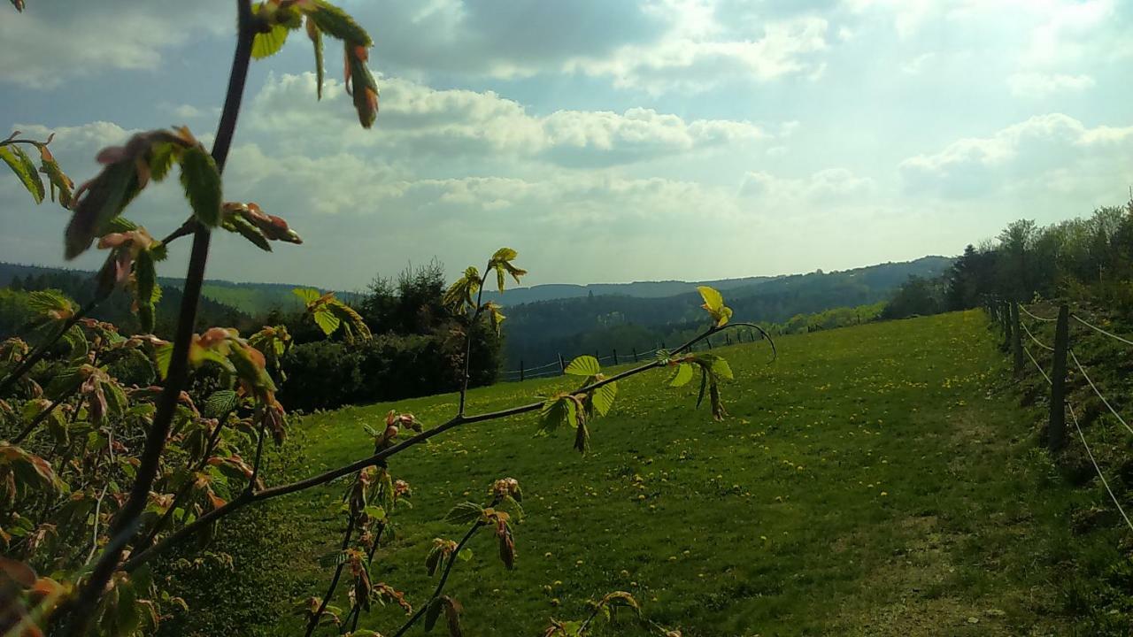 B&B All Seasons Winterberg Exterior photo